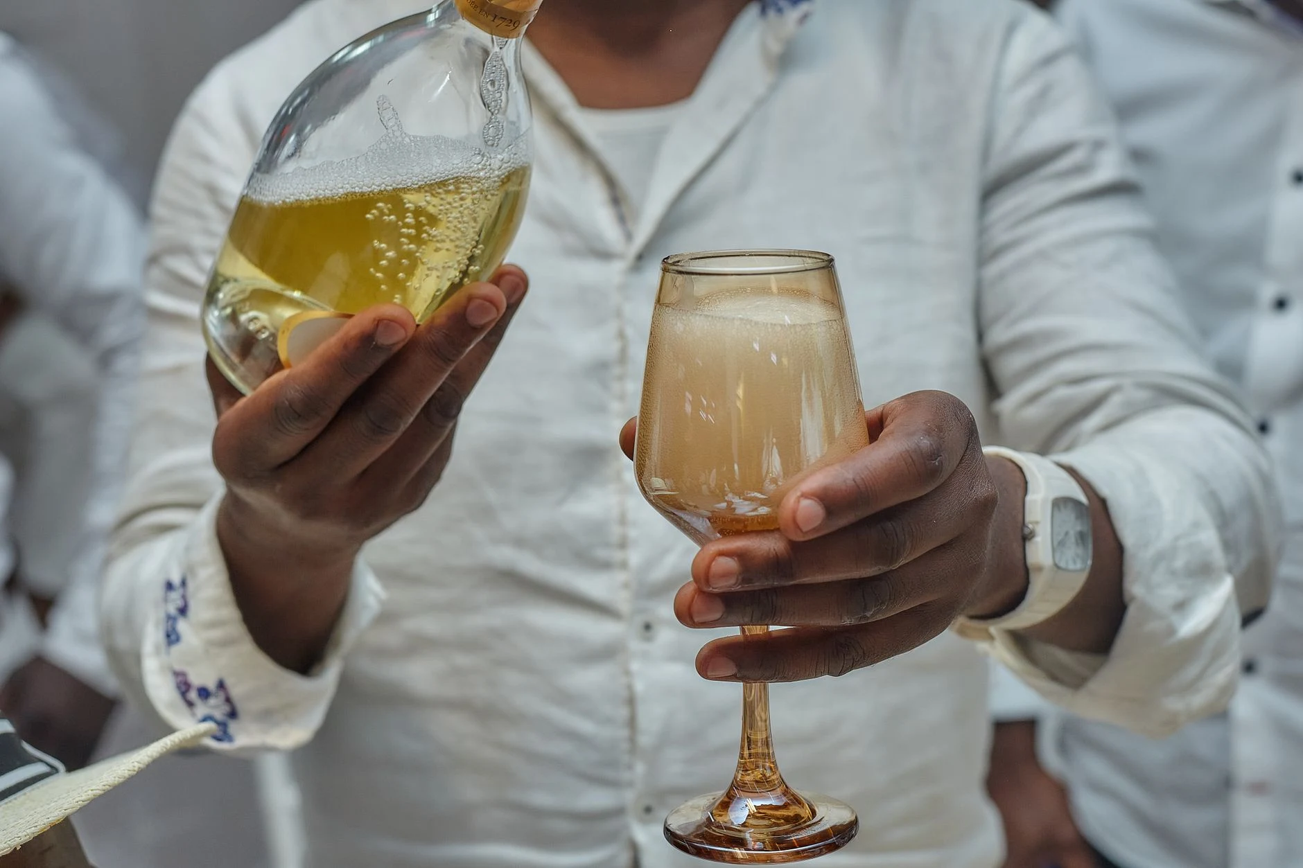 Découverte de la richesse du champagne : tendances et cépages emblématiques