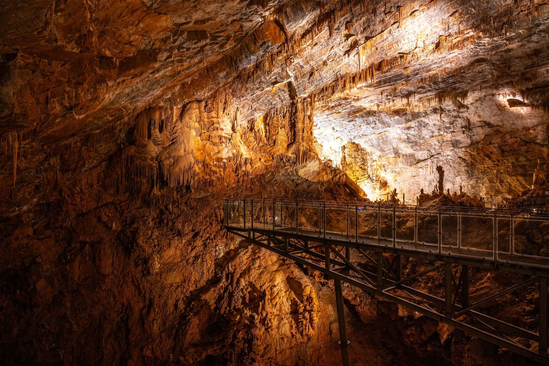 Visite des caves des petits producteurs de Champagne : une expérience authentique