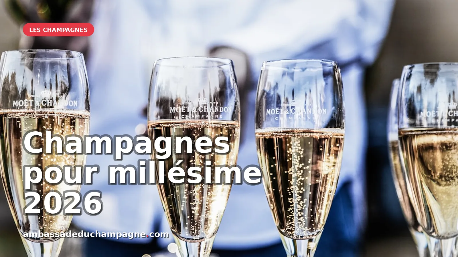 Champagnes millésime 2026 : précocité et défis pour les vignerons — photo Deleece Cook
